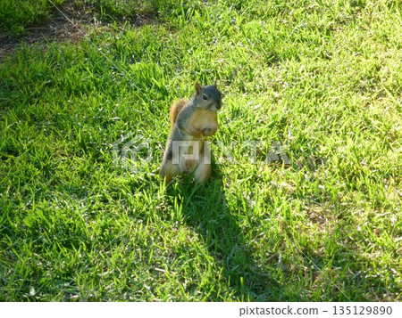 前往格里菲斯天文台 135129890