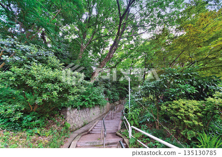 Azusawa Park 135130785