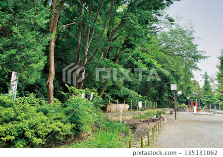 志村城公園 志村城公園 135131062