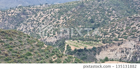Winding Road Through Dry Mediterranean Hills 135131882