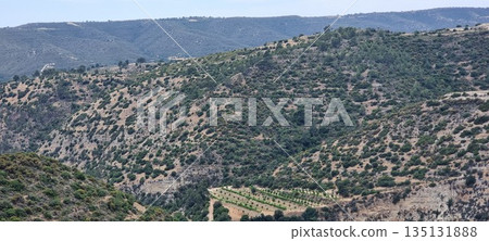 Winding Road Through Dry Mediterranean Hills 135131888