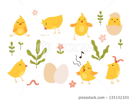 Cartoon Easter chicks. Cute baby farm birds with yellow feathers. Cheerful little chickens and roosters activities. Funny domestic animals hatched from eggs. Isolated newborn poultry, vector set Cartoon Easter chicks. Cute baby farm birds with yellow feathers. Cheerful little chickens and roosters activities. Funny domestic animals hatched from eggs. Isolated newborn poultry, vector set 135132103