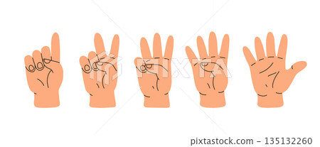 Counting with fingers. Hand gesturing, arm showing one, two, three, four and five numbers, digits. Countdown, score, elementary math learning. Flat vector illustration isolated on white background 135132260