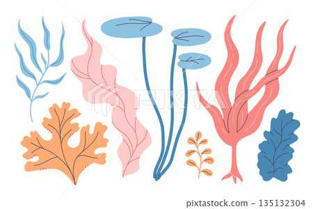Seaweeds. Aquarium plants, underwater planting. Vector seaweed silhouette isolated set. Illustration of aquatic plant, nature wildlife 135132304