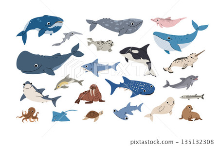 Aquatic animals set. Ocean mammals orca, whale, dolphin, shark and beluga, seal,sea lion, walrus in different poses. Big flat vector set in cartoon cute style. 135132308