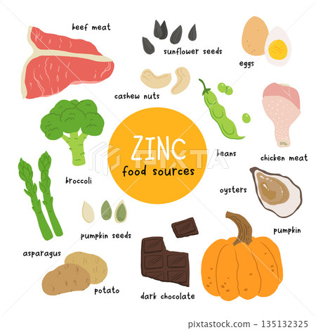 Zinc food sources vector stock illustration. Food products with a high content of zinc. Oysters, pumpkin seeds, sunflower seeds, eggs, asparagus, beef, chicken, cashew nuts. Information poster. Zinc food sources vector stock illustration. Food products with a high content of zinc. Oysters, pumpkin seeds, sunflower seeds, eggs, asparagus, beef, chicken, cashew nuts. Information poster. 135132325