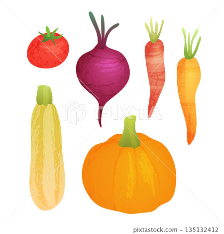 Cute vector vegetable collection on white isolated background. Organic food autumn watercolor set with pumpkin, carrot, squash, tomato and beetroot. 135132412