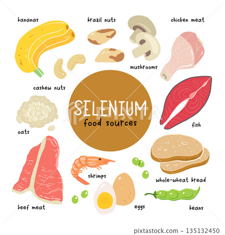 Selenium vector stock illustration. Food products with a high content of the mineral. tuna fish, meat, mushrooms, shrimps, brazil nuts, cashew, oats, bread, beans. Information poster. Food, diet. 135132450
