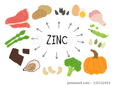 Zinc food sources vector stock illustration. Food products with a high content of zinc. Oysters, pumpkin seeds, sunflower seeds, eggs, asparagus, beef, chicken, cashew nuts. Information poster. Zinc food sources vector stock illustration. Food products with a high content of zinc. Oysters, pumpkin seeds, sunflower seeds, eggs, asparagus, beef, chicken, cashew nuts. Information poster. 135132453