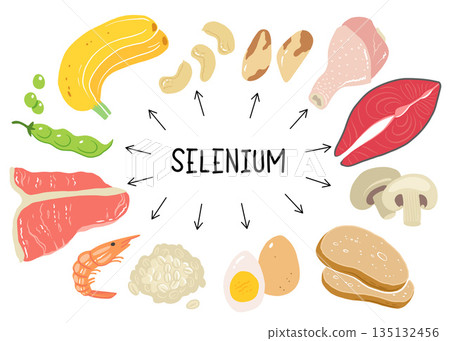 Selenium vector stock illustration. Food products with a high content of the mineral. tuna fish, meat, mushrooms, shrimps, brazil nuts, cashew, oats, bread, beans. Information poster. Food, diet. Selenium vector stock illustration. Food products with a high content of the mineral. tuna fish, meat, mushrooms, shrimps, brazil nuts, cashew, oats, bread, beans. Information poster. Food, diet. 135132456