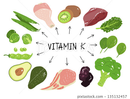 Vitamin k vector stock illustration. Food products with a high content of the vitamin k1 and k2. prunes, liver, pork chops, broccoli, green beans and peas, kale, spinach and brussels sprout. 135132457