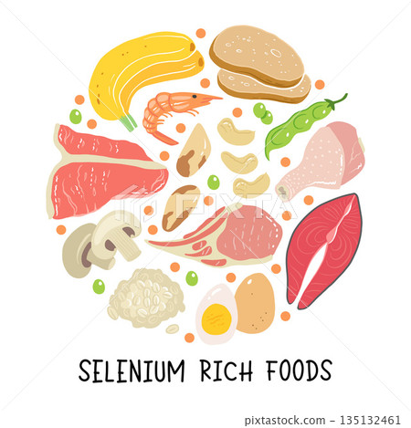 Selenium vector stock illustration. Food products with a high content of the mineral. tuna fish, meat, mushrooms, shrimps, brazil nuts, cashew, oats, bread, beans. Information poster. Food, diet. Selenium vector stock illustration. Food products with a high content of the mineral. tuna fish, meat, mushrooms, shrimps, brazil nuts, cashew, oats, bread, beans. Information poster. Food, diet. 135132461