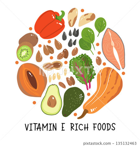 Vitamin e vector stock illustration. Food products with a high content of the tocopherol. kiwi, mamey sapote, swiss chard, red sweet pepper, avocado, butternut squash, brazil nuts, peanuts, salmon Vitamin e vector stock illustration. Food products with a high content of the tocopherol. kiwi, mamey sapote, swiss chard, red sweet pepper, avocado, butternut squash, brazil nuts, peanuts, salmon 135132463