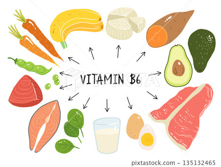 Vitamin b6 vector stock illustration. Food products with a high content of the vitamin b6. sweet potato, ricotta cheese, milk, salmon, tuna, avocado, spinach, eggs, carrots, beef, green peas. banana 135132465