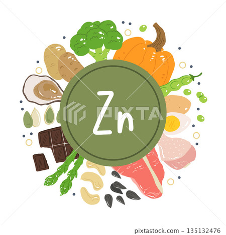 Zinc food sources vector stock illustration. Food products with a high content of zinc. Oysters, pumpkin seeds, sunflower seeds, eggs, asparagus, beef, chicken, cashew nuts. Information poster. 135132476