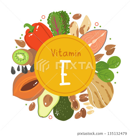 Vitamin e vector stock illustration. Food products with a high content of the tocopherol. kiwi, mamey sapote, swiss chard, red sweet pepper, avocado, butternut squash, brazil nuts, peanuts, salmon Vitamin e vector stock illustration. Food products with a high content of the tocopherol. kiwi, mamey sapote, swiss chard, red sweet pepper, avocado, butternut squash, brazil nuts, peanuts, salmon 135132479