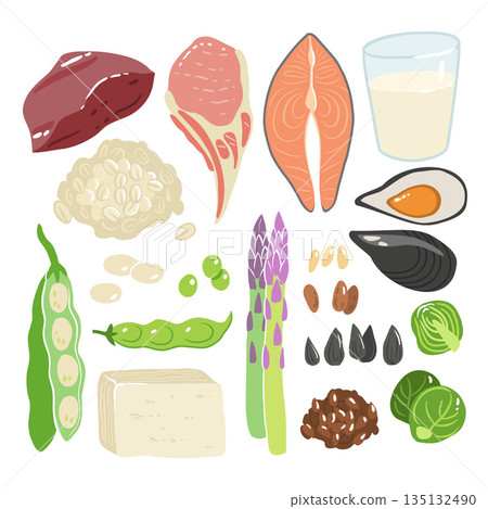Collection of vitamin B1 sources. Food containing thiamin. Tofu, oatmeal, liver, pork, beans, peas, mussels, salmon, asparagus, flax seeds, brussels sprouts. Dietetic products, organic nutrition. 135132490