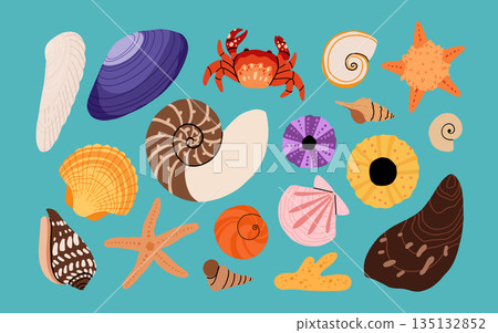 Seashells vector set. Collection of flat, cartoon modern flat icons of molluscs sea shells, starfish, sea urchin, crab, coral. Trendy coral reef under water collection isolated on white 135132852