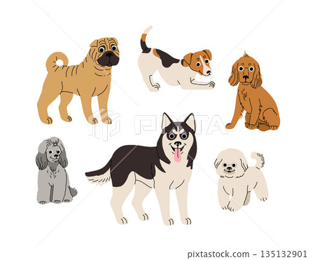 cartoon Dogs in motion set. Different canine breeds. Active puppies siberian husky, jack russell terrier, cocker spaniel, miniature poodle, shar pei, bishon frize. Flat vector illustration cartoon Dogs in motion set. Different canine breeds. Active puppies siberian husky, jack russell terrier, cocker spaniel, miniature poodle, shar pei, bishon frize. Flat vector illustration 135132901
