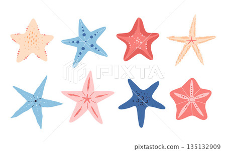 Starfish vector set in cartoon flat style. Sea animal underwater. Echinoderm. Marine icon Isolated on white background. Summer vector illustration 135132909