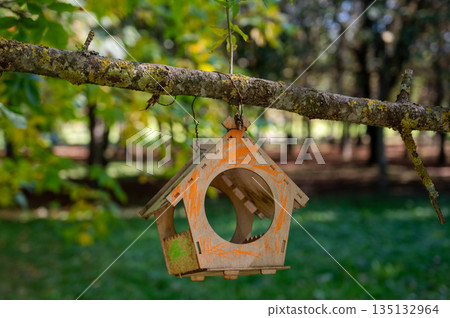 Painted wooden birdhouse hanging on tree branch among green leaves in summer garden Painted wooden birdhouse hanging on tree branch among green leaves in summer garden 135132964