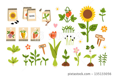 Seeds and seedlings. Germination of sprouts. Tools, pots and soil for planting. Spring sowing works. Set of hand drawn vector illustration isolated on white background. 135133056