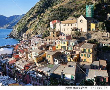 View of Vernazza, town in Cinque Terre, from mountain. Nature and sea, traditional buildings of Liguria, Italy. Architecture protected by UNESCO. Background for design.  135133114