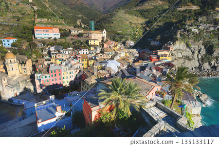 View of Vernazza, town in Cinque Terre, from mountain. Nature and sea, traditional buildings of Liguria, Italy. Architecture protected by UNESCO. Background for design. 135133117