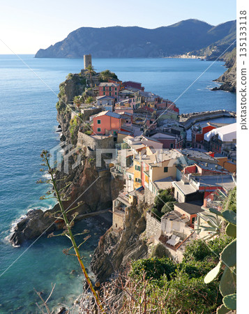 View of Vernazza, town in Cinque Terre, from mountain. Nature and sea, traditional buildings of Liguria, Italy. Architecture protected by UNESCO. Background for design.  135133118