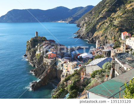View of Vernazza, town in Cinque Terre, from mountain. Nature and sea, traditional buildings of Liguria, Italy. Architecture protected by UNESCO. Background for design.  135133120
