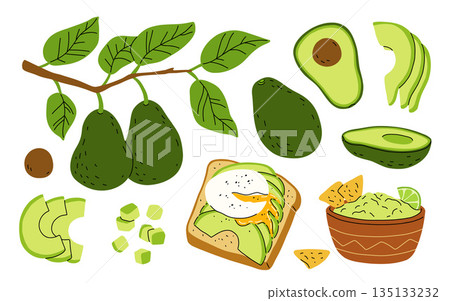 Cartoon set with avocado fruit on branch with leaves. Whole avocado, half and slices, cubes. Avocado toast with poached egg, bowl of guacamole with lime and nachos. Flat vector set 135133232