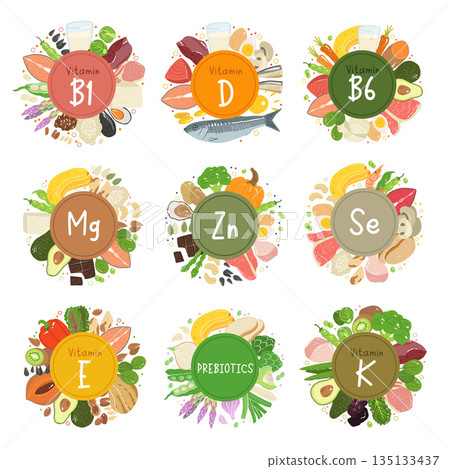 Healthy food sources of vitamins and minerals. Vitamins b1, b6, d, e, k1, k2, zinc, magnesium, selenium, prebiotics. Vector healthcare illustration isolated on white background. 135133437
