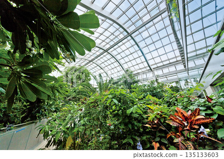 Tropical Botanical Garden 135133603