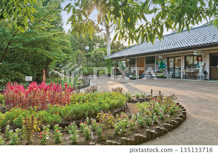 Akatsuka花園 135133716