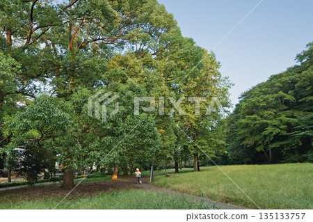 東京都立赤塚公園 135133757