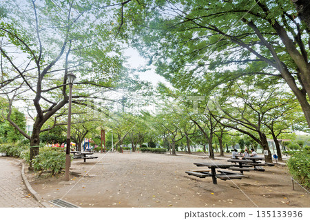 Johoku Central Park Johoku Central Park 135133936