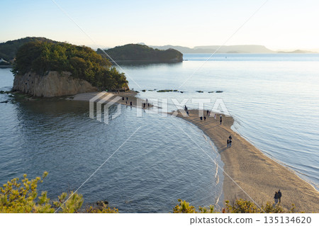 The beautiful Angel Road on Shodoshima Island in Kagawa Prefecture 135134620
