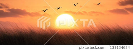 Birds soaring gracefully over a lush field of grass during a breathtaking sunset, creating a serene and picturesque natural landscape filled with vibrant colors and tranquility 135134624