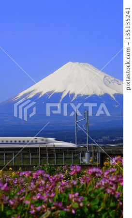 四月富士山與新幹線列車駛過紅花田的景色 - 富士山 405 新幹線與紅花 V9.16 四月富士山與新幹線列車駛過紅花田的景色 - 富士山 405 新幹線與紅花 V9.16 135135241
