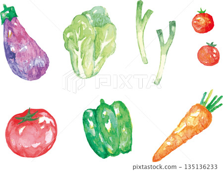 Watercolor illustrations of various vegetables 135136233