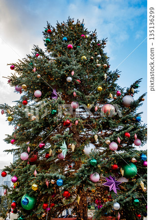 聖誕樹 135136299