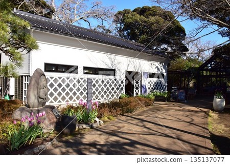 神奈川縣藤澤市江之島塞繆爾·科金花園:海山堂、步道和盛開的鬱金香。 神奈川縣藤澤市江之島塞繆爾·科金花園:海山堂、步道和盛開的鬱金香。 135137077