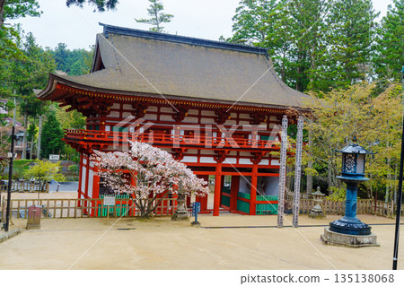 高野山櫻花環繞：丹上伽嵐中門 135138068