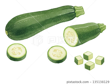 水彩風格的西葫蘆插圖 135138129