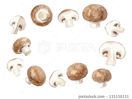 水彩蘑菇插圖 135138131