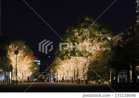 高松港陽光港花園長廊的燈光秀(從競技場一側看向高松站) 高松港陽光港花園長廊的燈光秀(從競技場一側看向高松站) 135138690