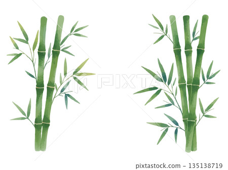 水彩竹子插圖 135138719