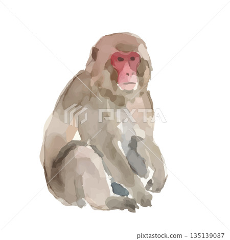 水彩風格的日本猴子插畫 135139087