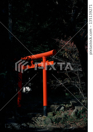 Scenery with a red torii gate Scenery with a red torii gate 135139271