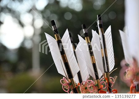 酷炫的哈瑪雅箭 135139277